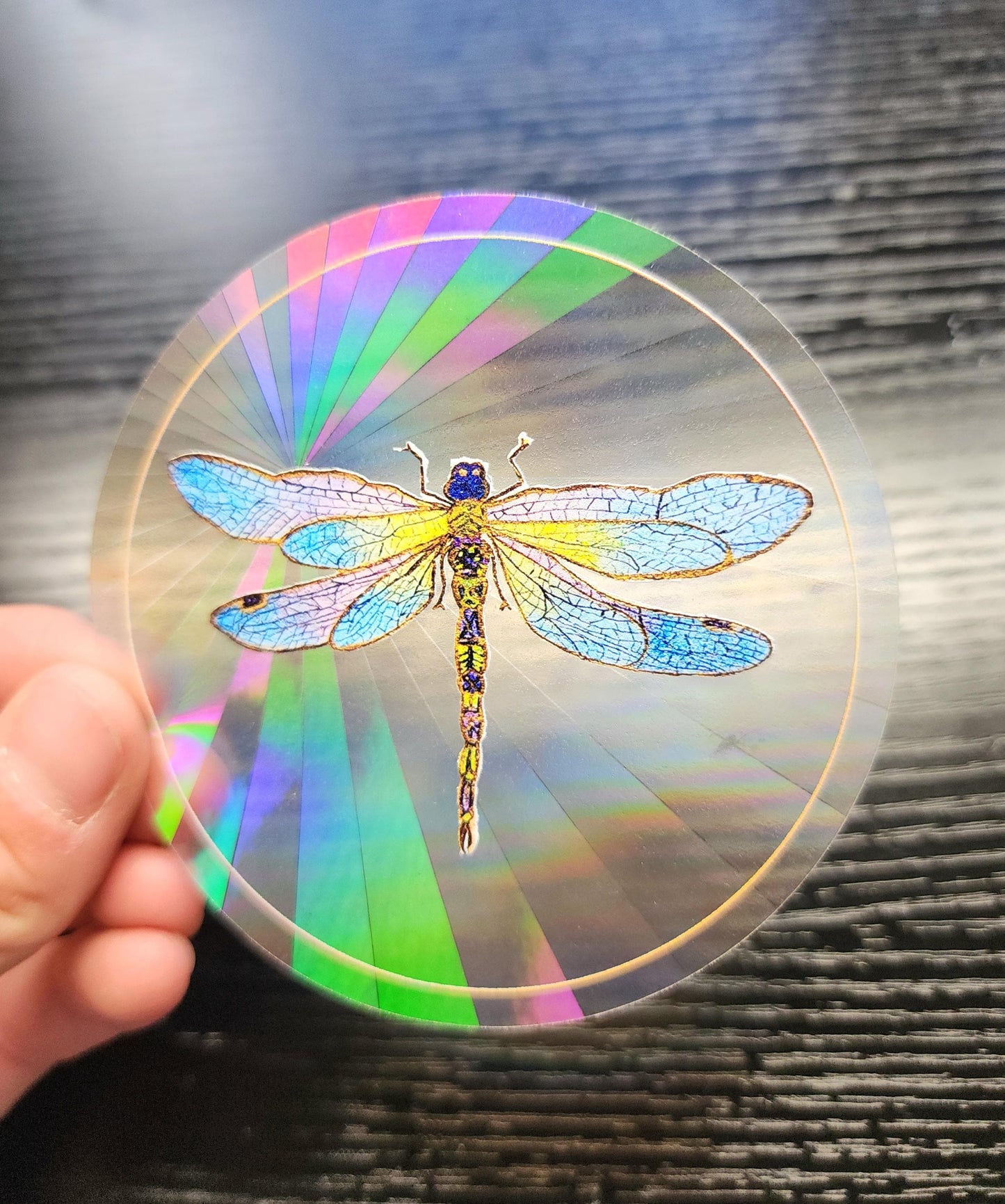 Dragonfly Suncatcher Sticker - Fractal Suncatcher - Watercolor Painting- Rainbow Prism Light Refraction - Shadow & Light Art- Window Decal