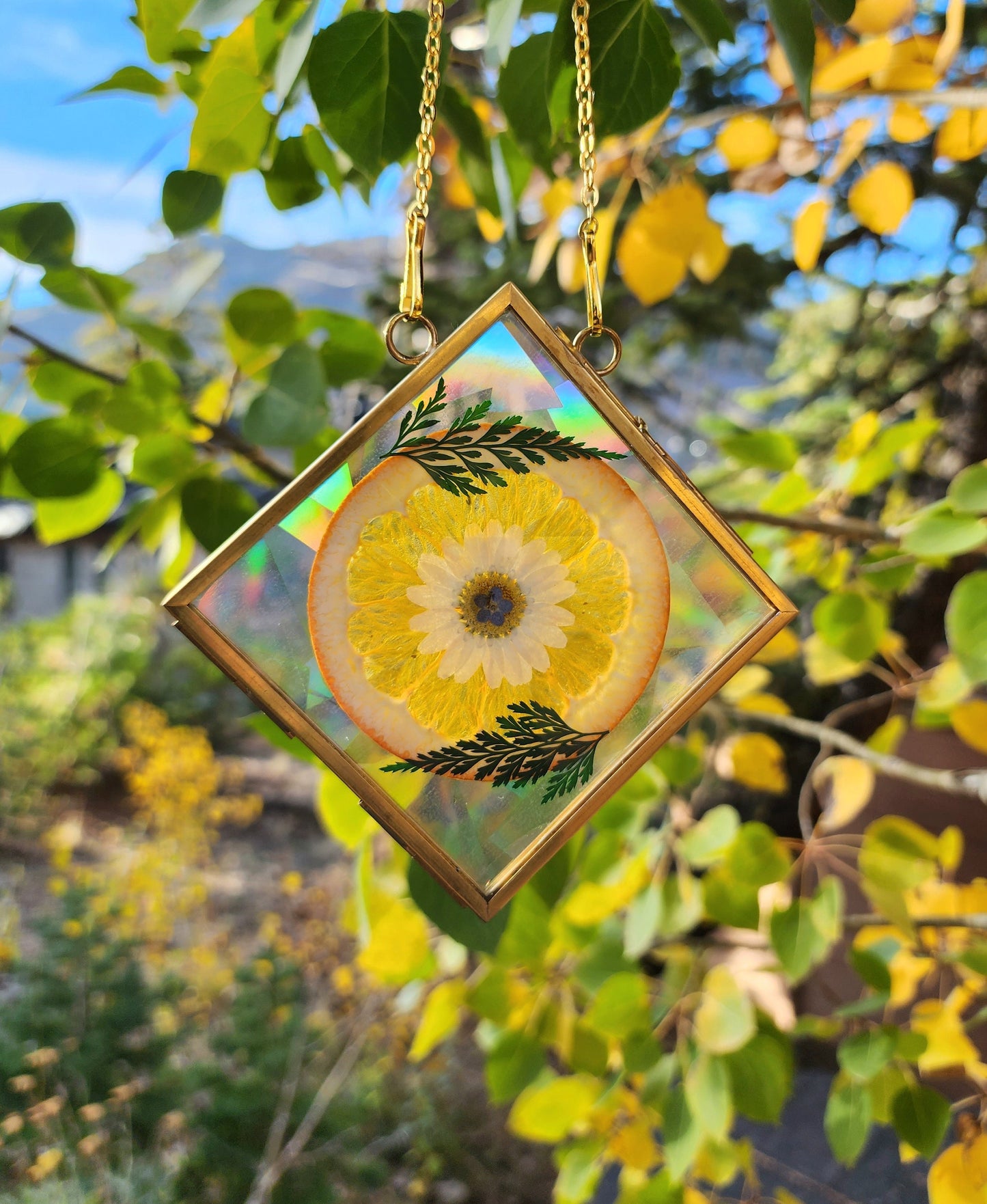 Orange Blossom - Fractal Floral Suncatcher