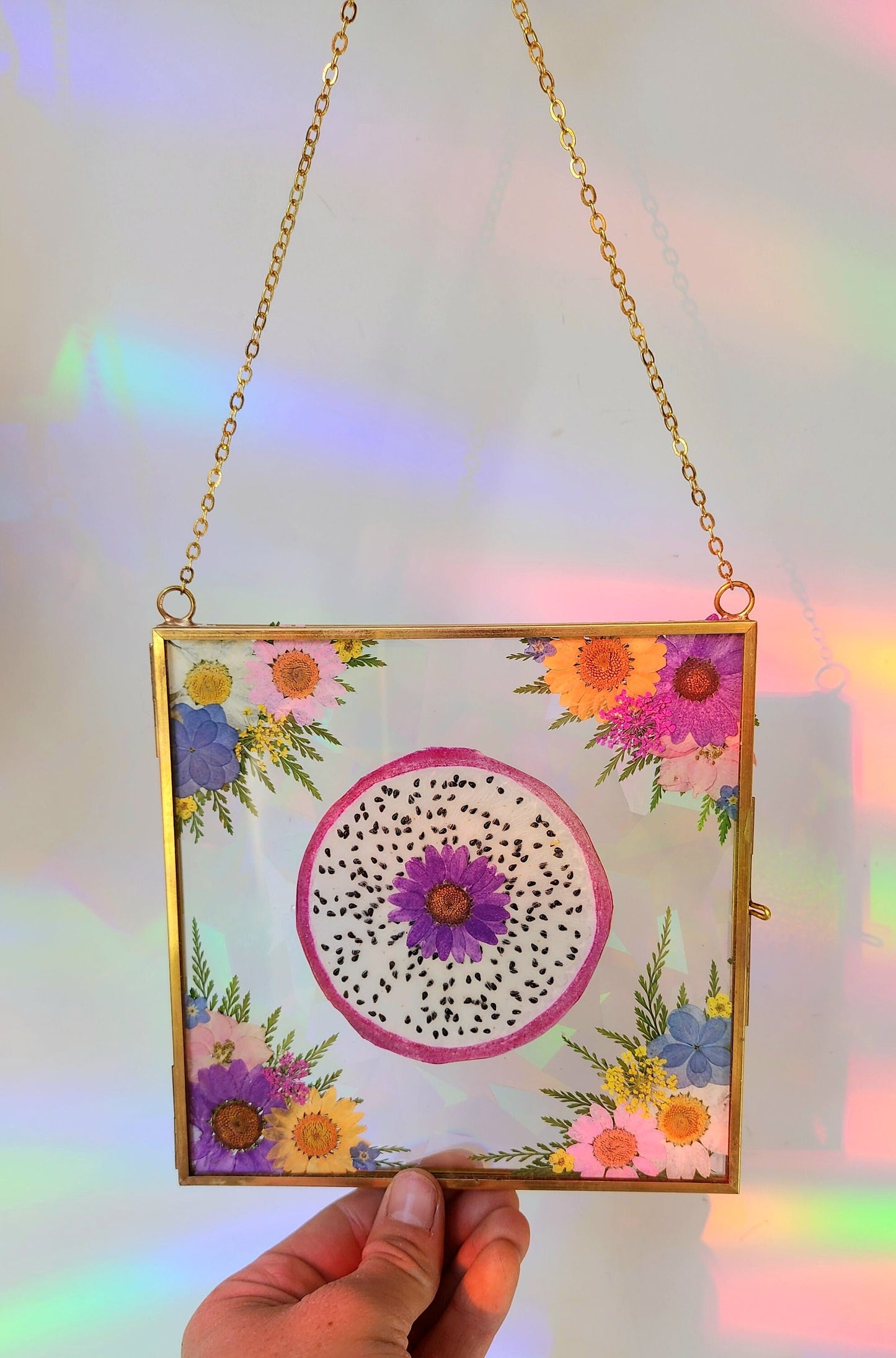 Dragonfruit Dreams - Fractal Floral Suncatcher