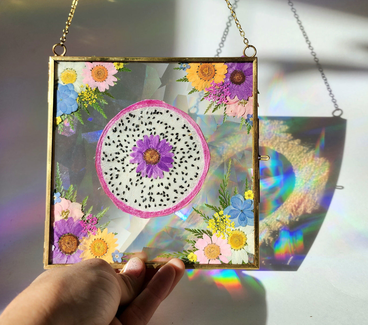 Dragonfruit Dreams - Fractal Floral Suncatcher