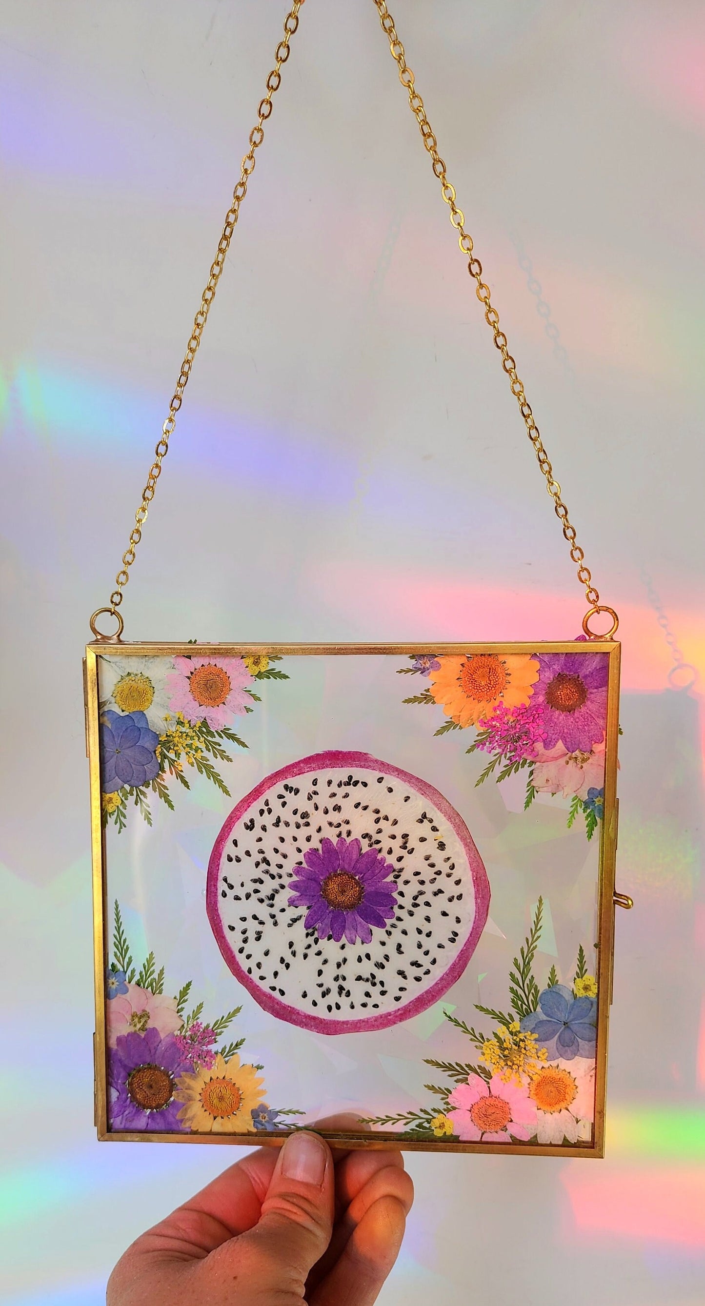 Dragonfruit Dreams - Fractal Floral Suncatcher