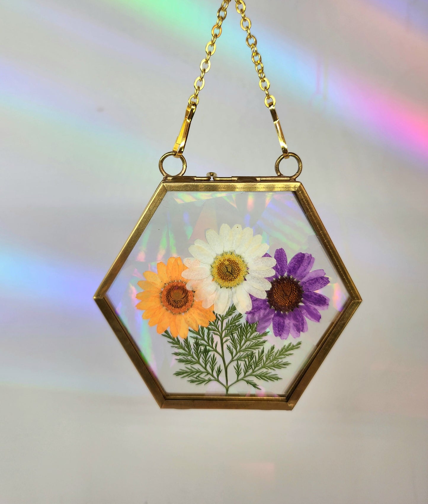 Sorbet Daisy Bouquet - Fractal Floral Suncatcher