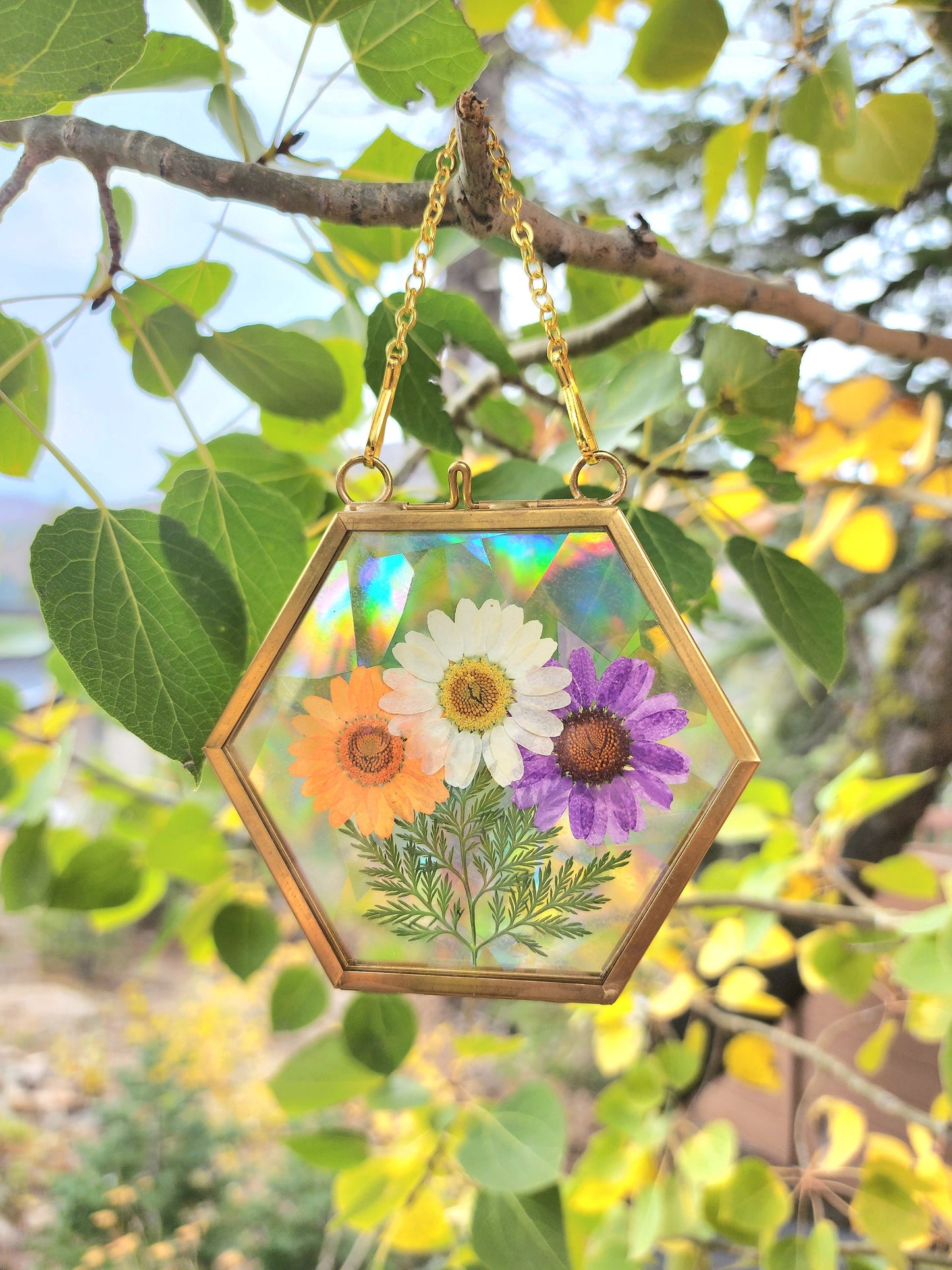 Sorbet Daisy Bouquet - Fractal Floral Suncatcher